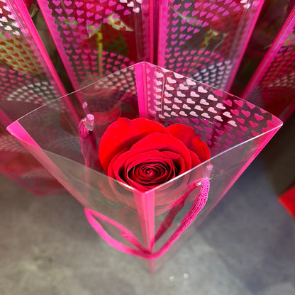 Cute Rose Gift